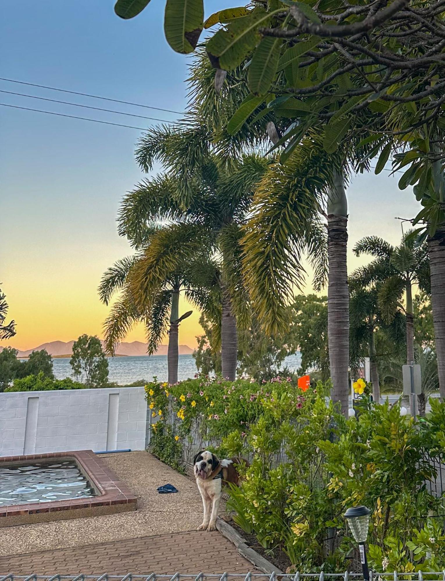Ocean View Motel Bowen Buitenkant foto